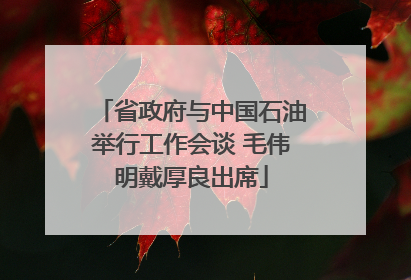省政府与中国石油举行工作会谈 毛伟明戴厚良出席