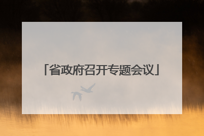 省政府召开专题会议