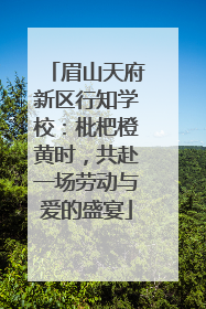 眉山天府新区行知学校：枇杷橙黄时，共赴一场劳动与爱的盛宴