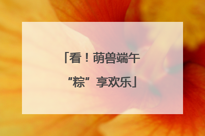 看！萌兽端午“粽”享欢乐