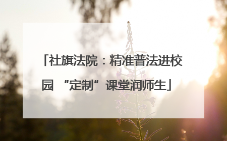社旗法院：精准普法进校园 “定制”课堂润师生