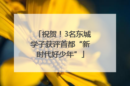 祝贺！3名东城学子获评首都“新时代好少年”