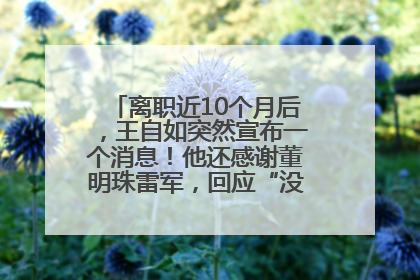 离职近10个月后，王自如突然宣布一个消息！他还感谢董明珠雷军，回应“没看过格力工资条”：真的不那么重要！