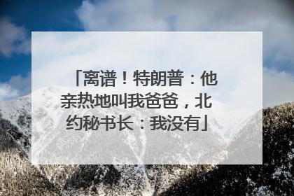 离谱！特朗普：他亲热地叫我爸爸，北约秘书长：我没有