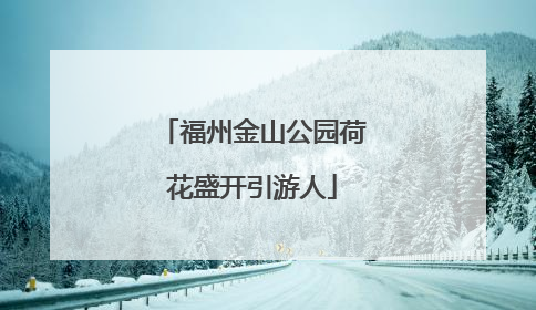 福州金山公园荷花盛开引游人
