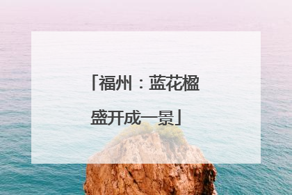 福州：蓝花楹盛开成一景