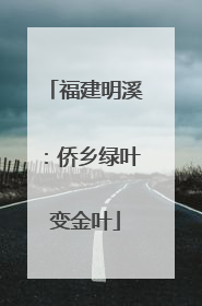 福建明溪：侨乡绿叶变金叶