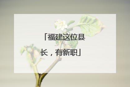 福建这位县长，有新职