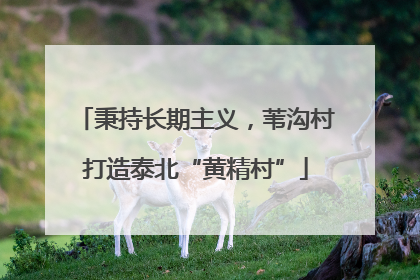 秉持长期主义，苇沟村打造泰北“黄精村”