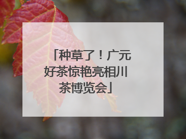 种草了！广元好茶惊艳亮相川茶博览会