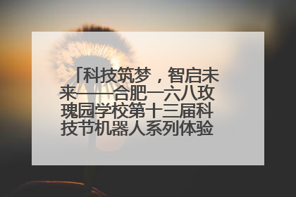 科技筑梦，智启未来——合肥一六八玫瑰园学校第十三届科技节机器人系列体验赛燃动校园