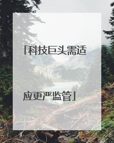 科技巨头需适应更严监管