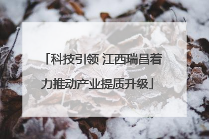 科技引领 江西瑞昌着力推动产业提质升级