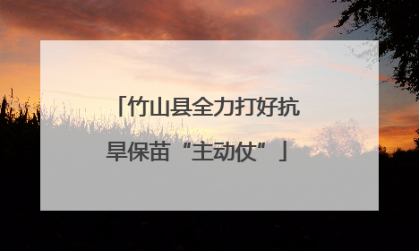竹山县全力打好抗旱保苗“主动仗”
