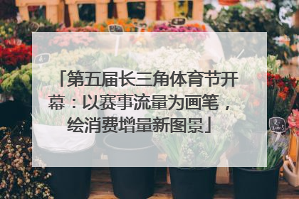 第五届长三角体育节开幕：以赛事流量为画笔，绘消费增量新图景