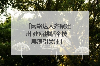 网络达人齐聚建州 建瓯挑幡伞技展演引关注