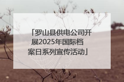 罗山县供电公司开展2025年国际档案日系列宣传活动