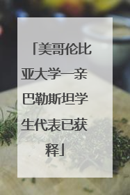 美哥伦比亚大学一亲巴勒斯坦学生代表已获释