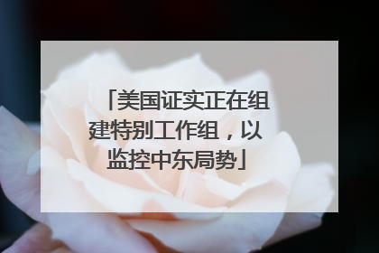 美国证实正在组建特别工作组，以监控中东局势