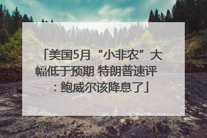 美国5月“小非农”大幅低于预期 特朗普速评：鲍威尔该降息了