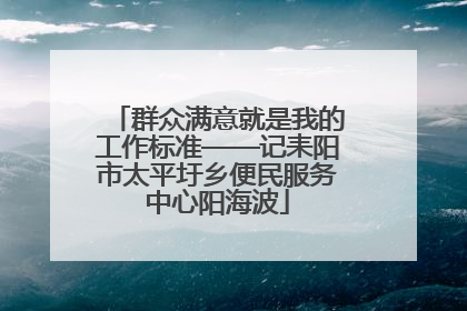 群众满意就是我的工作标准——记耒阳市太平圩乡便民服务中心阳海波