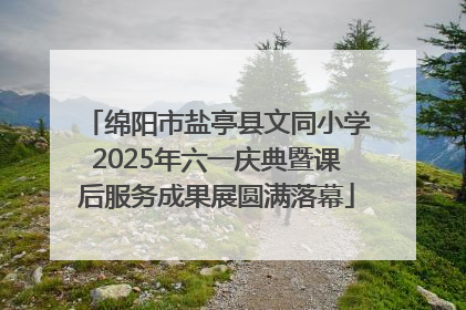 绵阳市盐亭县文同小学2025年六一庆典暨课后服务成果展圆满落幕