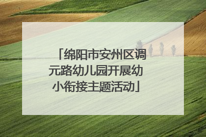 绵阳市安州区调元路幼儿园开展幼小衔接主题活动