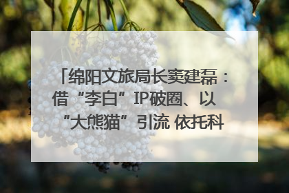 绵阳文旅局长窦建磊：借“李白”IP破圈、以“大熊猫”引流 依托科技优势绽放城市文旅魅力｜文旅局长说