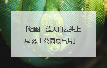 组图｜蓝天白云头上悬 烈士公园最出片