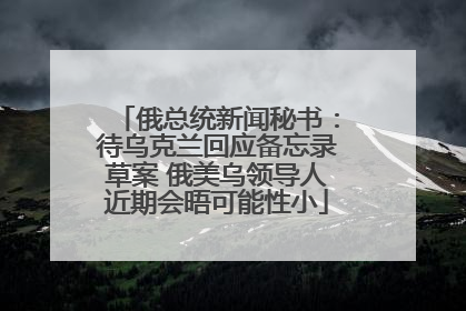 俄总统新闻秘书：待乌克兰回应备忘录草案 俄美乌领导人近期会晤可能性小