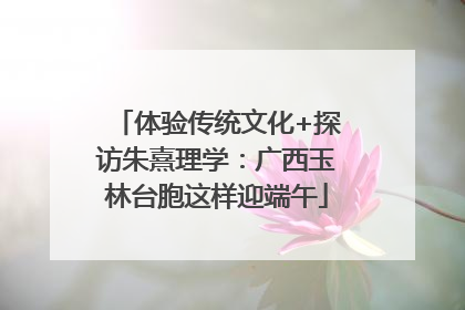 体验传统文化+探访朱熹理学：广西玉林台胞这样迎端午