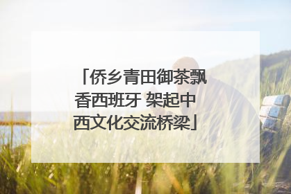 侨乡青田御茶飘香西班牙 架起中西文化交流桥梁