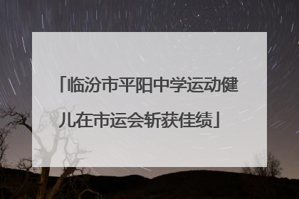 临汾市平阳中学运动健儿在市运会斩获佳绩