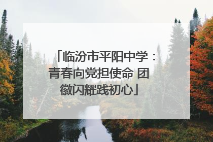 临汾市平阳中学:青春向党担使命 团徽闪耀践初心