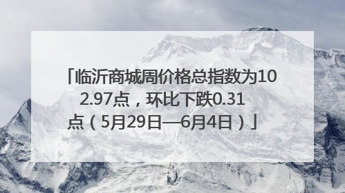 临沂商城周价格总指数为102.97点，环比下跌0.31点（5月29日—6月4日）