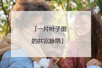 一片叶子里的共富脉络