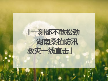 一刻都不敢松劲——湖南桑植防汛救灾一线直击