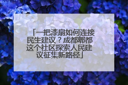 一把漆扇如何连接民生建议？成都郫都这个社区探索人民建议征集新路径