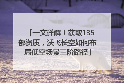 一文详解！获取135部资质，沃飞长空如何布局低空场景三阶路径