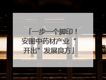 一步一个脚印！安图中药材产业“开出”发展良方