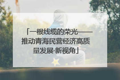 一根线缆的荣光——推动青海民营经济高质量发展·新视角