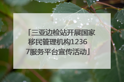 三亚边检站开展国家移民管理机构12367服务平台宣传活动