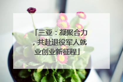 三亚：凝聚合力，共赴退役军人就业创业新征程