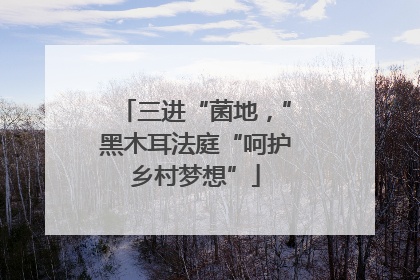 三进“菌地，”黑木耳法庭“呵护乡村梦想”