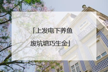 上发电下养鱼 废坑塘巧生金