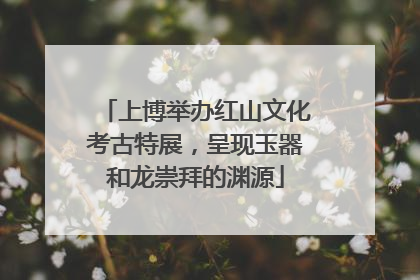 上博举办红山文化考古特展，呈现玉器和龙崇拜的渊源