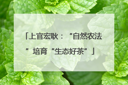 上官宏耿：“自然农法”培育“生态好茶”