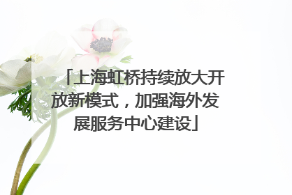 上海虹桥持续放大开放新模式，加强海外发展服务中心建设