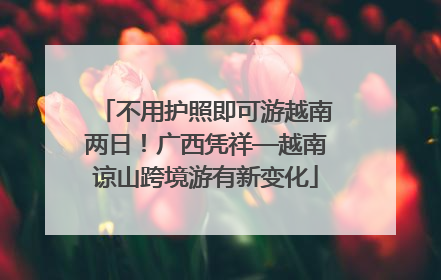 不用护照即可游越南两日！广西凭祥—越南谅山跨境游有新变化