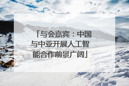 与会嘉宾：中国与中亚开展人工智能合作前景广阔